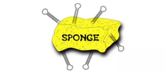 SPONGE: Inferring genome-wide networks of competing endogenous RNAs.