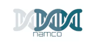 NAMCO: An R shiny app for the end-to-end analysis of 16S rRNA microbiome data.