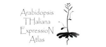 ATHENA: Mine the Arabidopsis THaliana ExpressioN Atlas across plant tissues.