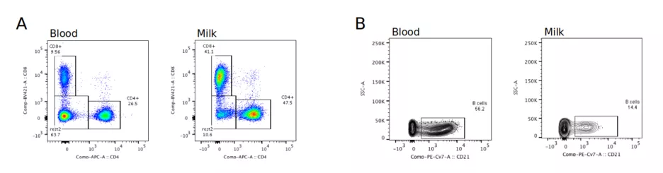 Exemplary comparison of the same cell populations in blood and milk: (A) CD4+ and CD8+ T cells, (B) B cells